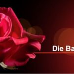 Die Bachelorette